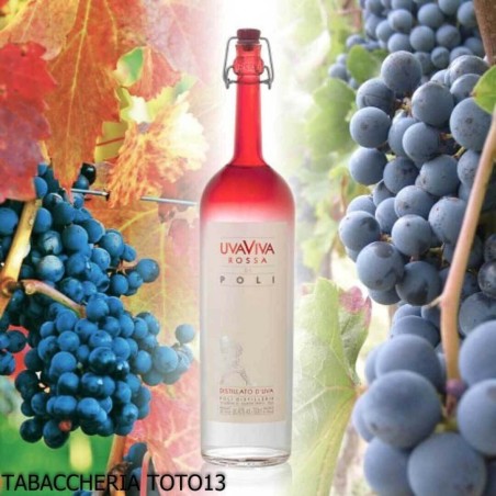 UvaViva Americana di Poli Vol.40% Cl.70 grape strawberry distillate - Spirits - Grapes