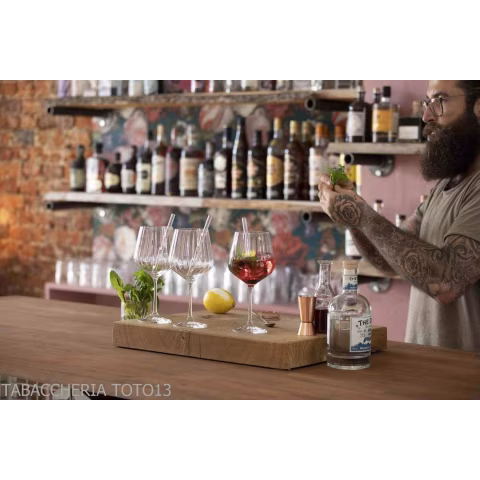 Schmeckt gut Gin Tonic Set mit 4 Gläsern und 4 Glasstrohhalmen - Zubehör Für Wein & Spirituosen Und Gläser