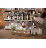 Schmeckt gut Gin Tonic Set mit 4 Gläsern und 4 Glasstrohhalmen - Zubehör Für Wein & Spirituosen Und Gläser