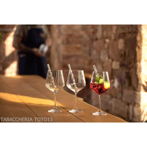Schmeckt gut Gin Tonic Set mit 4 Gläsern und 4 Glasstrohhalmen - Zubehör Für Wein & Spirituosen Und Gläser