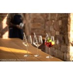Schmeckt gut Gin Tonic Set mit 4 Gläsern und 4 Glasstrohhalmen - Zubehör Für Wein & Spirituosen Und Gläser