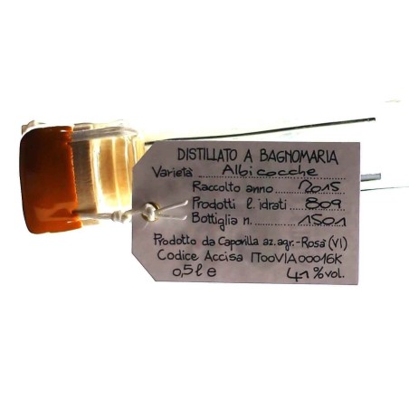 Capovilla apricot distillate Vol. 41% Cl.50 - Spirits