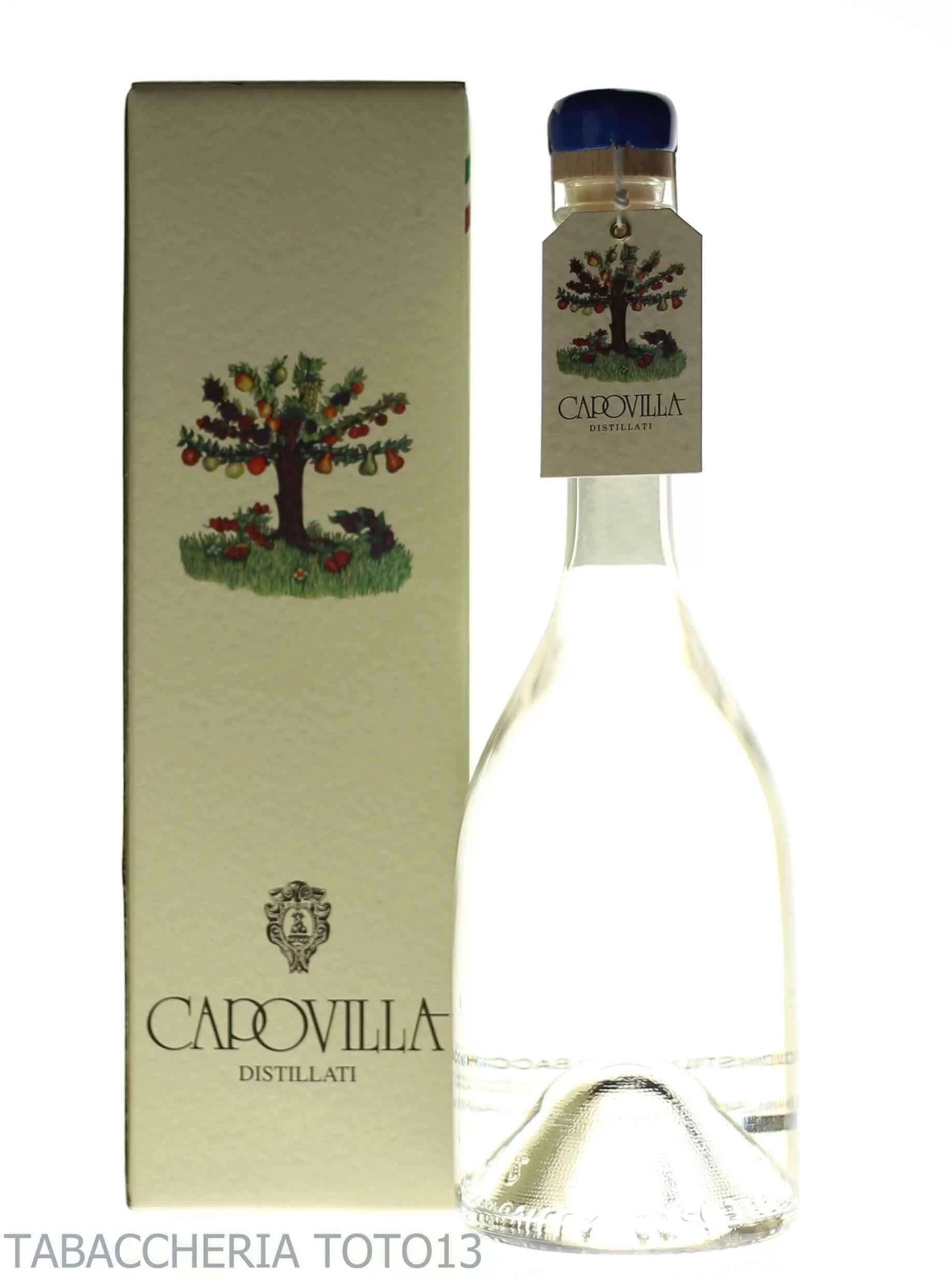 Capovilla distillato di bacche di sambuco 2016