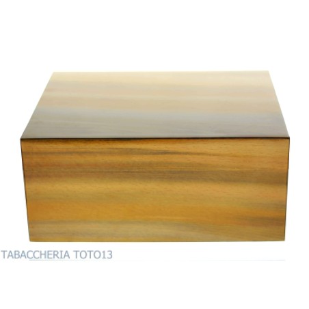 Gentili humidified box for 40 cigars, three colors beech finish - Accessories Cigar - Wood