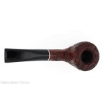 Semi-curved Diplomat shaped pipe in rusticated briar - Tobacco Pipes - Natural root