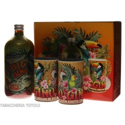 Big Gino Exotic Dream con bicchieri Vol.40% Cl.100 Roby Marton gin Gin Gin