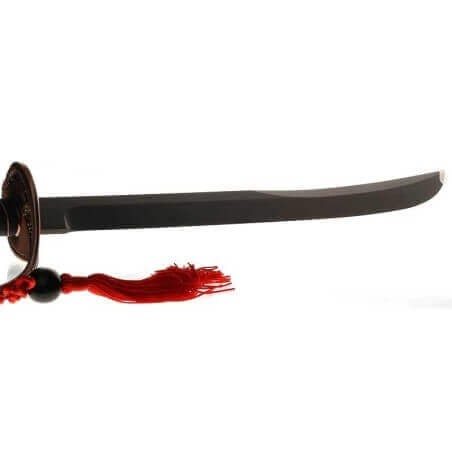 Sable de sumiller con hoja de acero inoxidable PTFE negro Due Cigni Fox Knives cutlery Accesorios de vino