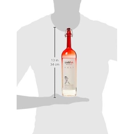 UvaViva Americana di Poli Vol.40% Cl.70 grape strawberry distillate - Spirits - Grapes