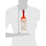 UvaViva Americana di Poli Vol.40% Cl.70 Traubenerdbeerdestillat - Poli Distilleria