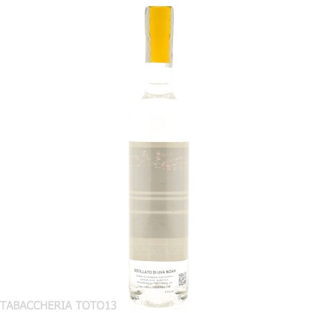 Capovilla distilled from Noah Grapes Vol.41% Cl.50 - Spirits - Grapes