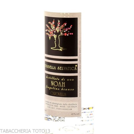 Capovilla distilled from Noah Grapes Vol.41% Cl.50 - Spirits - Grapes