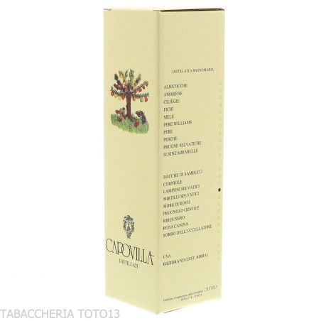 Destilado de arándanos silvestres Capovilla Vol.41% Cl.50 - Licores