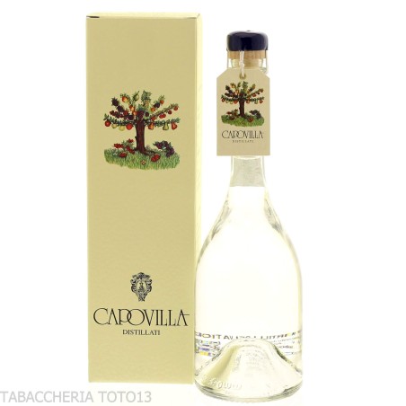 Destilado de arándanos silvestres Capovilla Vol.41% Cl.50 - Licores
