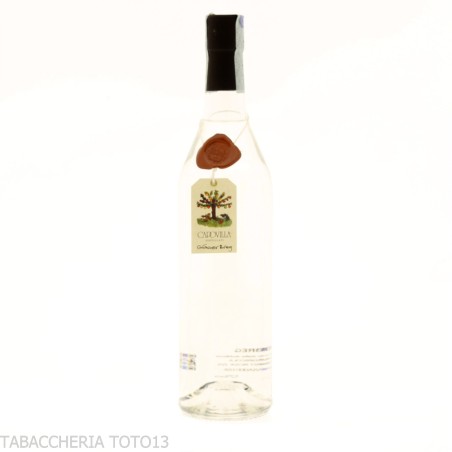 Capovilla Grappa Breg Gravner vol.52% cl.70 - Spirits - Marcs