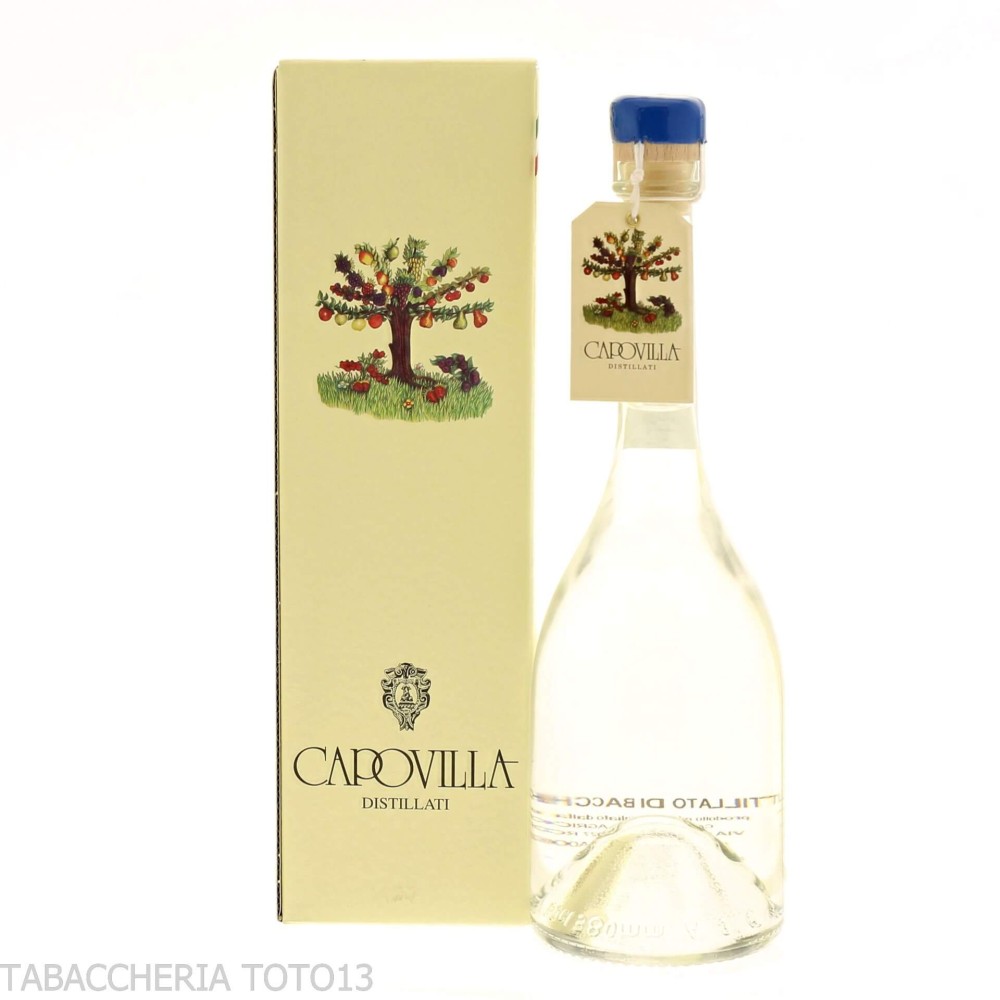 Destilado de bayas de saúco de Capovilla Vol.41% Cl.50 - Licores