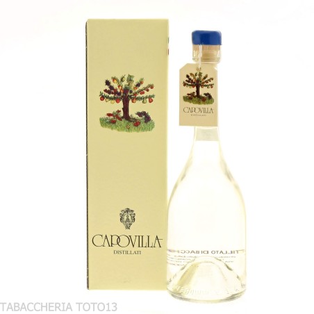 Destilado de bayas de saúco de Capovilla Vol.41% Cl.50 - Licores