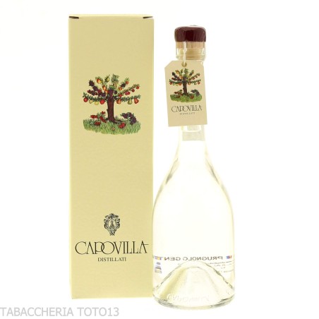 Capovilla Destillat aus Schlehen Vol.41% Cl.50 - Destilliert