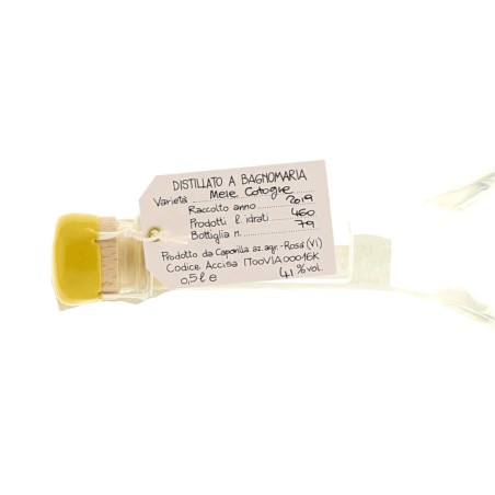 Capovilla quince distillate Vol.41% Cl.50 - Spirits - Apples