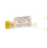 Capovilla distillato di mele cotogne Vol.41% Cl.50 - Distillati