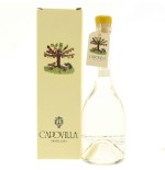 Capovilla Quittendestillat Vol.41% Cl.50 - Destilliert
