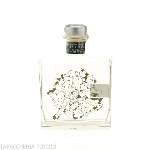F205 Milano premium Gin Vol.41,5% Cl.50 - Distillati