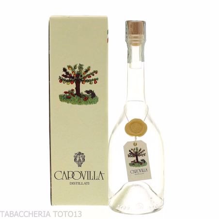 Capovilla Bierbrand distillato di birra Vol.42% Cl.50-Liquori - distillati di frutta