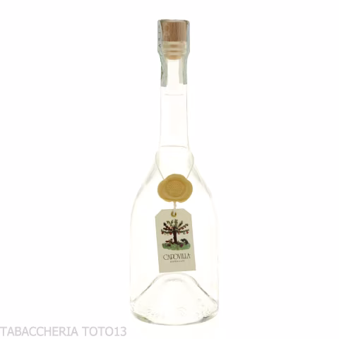 Capovilla Bierbrand beer distillate Vol.42% Cl.50 - Spirits - Malt