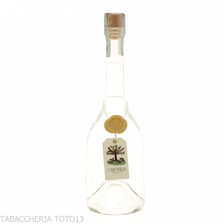 Capovilla Bierbrand distillato di birra Vol.42% Cl.50-Liquori - distillati di frutta
