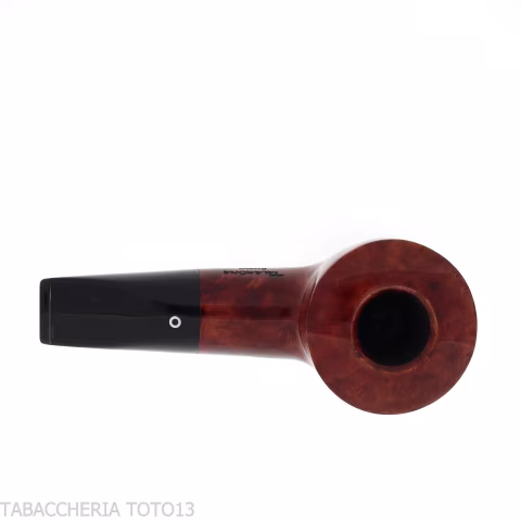Pipe inversée Pot forme calebasse inversée bruyère brillante - Pipe Pour le Tabac - Racine naturelle