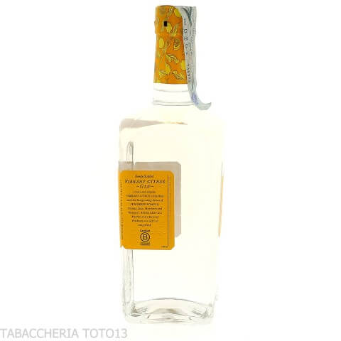 Gin Hayman's Exotic citrus Cl.70 Vol.41,1% - Licores
